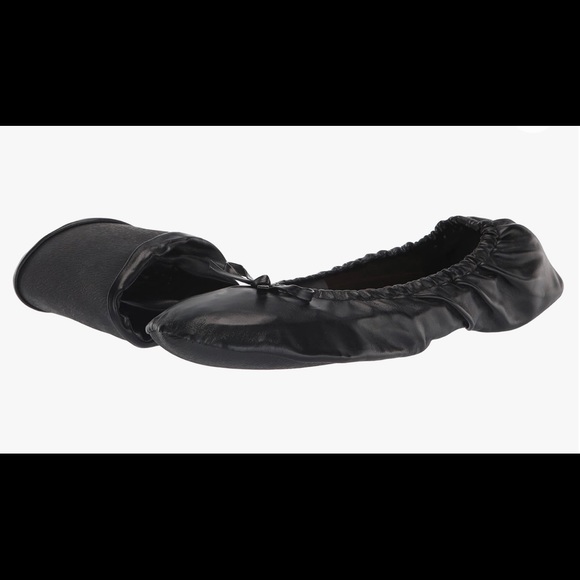 Women's Foldable Portable Travel Ballet Flat Shoes w/Matching Carrying Case - Picture 1 of 7